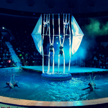 AQUA SHOW. «Шоу Воды, Огня и Света»